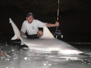 Florida Shark Fishing - Florida Sportsman