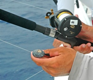 Three Summer Game Plans Offshore: Deep Jig, Downrigger Fishi - Florida  Sportsman