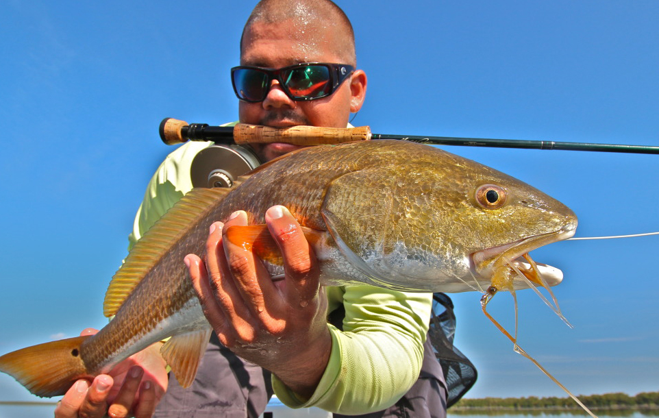 Stealth, Fly Rods and Reluctant Redfish - Florida Sportsman