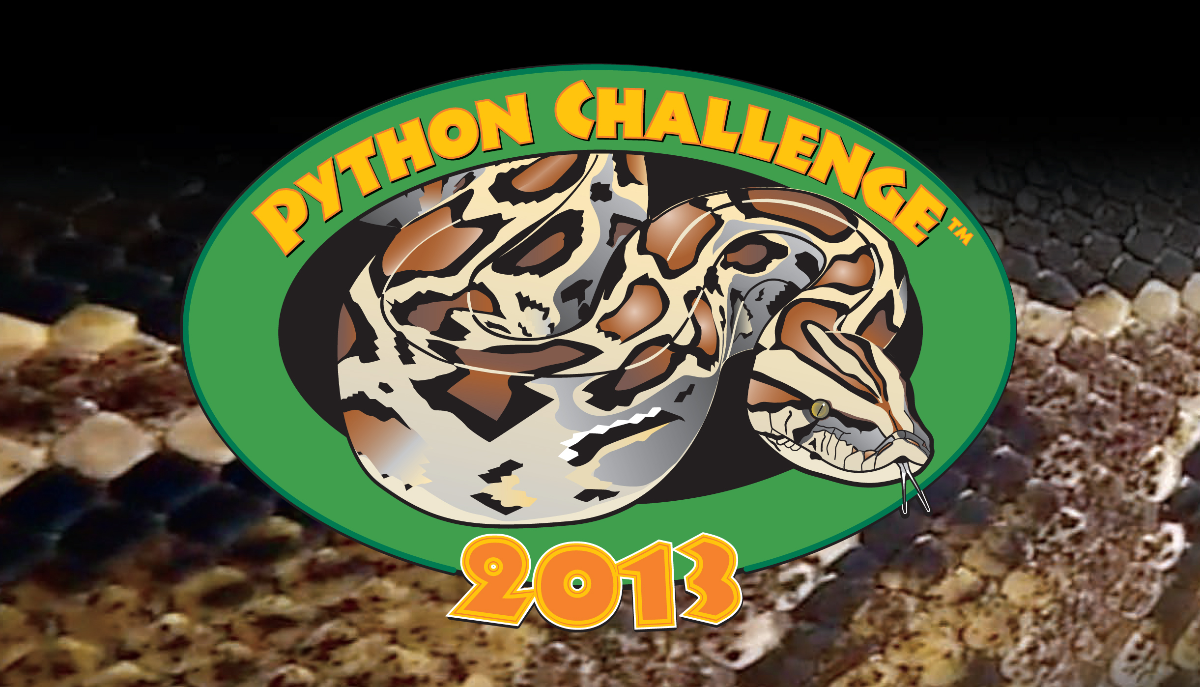 2013 Python Challenge Underway