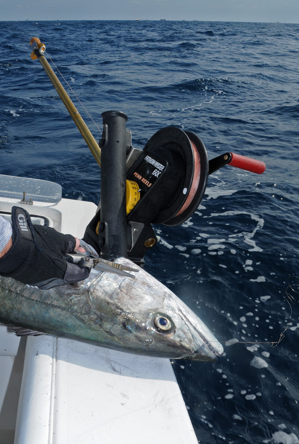 Downriggers Fit for a King - Florida Sportsman