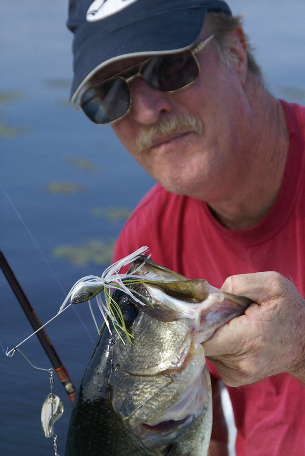 Three Tricks With Spinnerbaits for Bass - Florida Sportsman