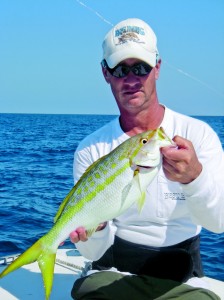 Gulf Coast Yellowtail Snapper - Florida Sportsman