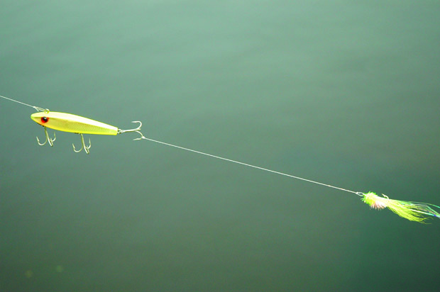 The Lure and Fly Rig - Florida Sportsman