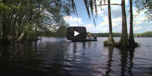 Take Advantage of License-Free Fishing Saturday in Florida&apos;s Fresh Waters