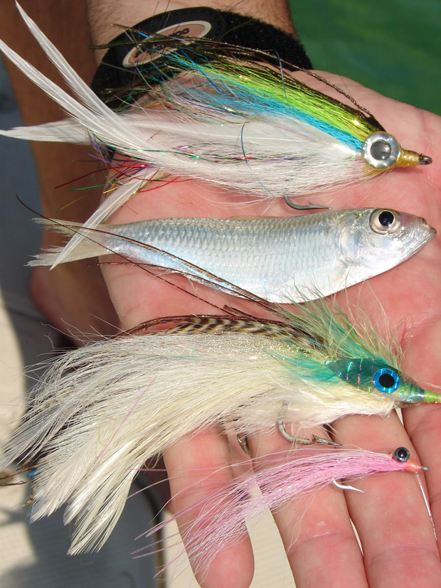 Wire Leaders for Fly Fishing - Florida Sportsman