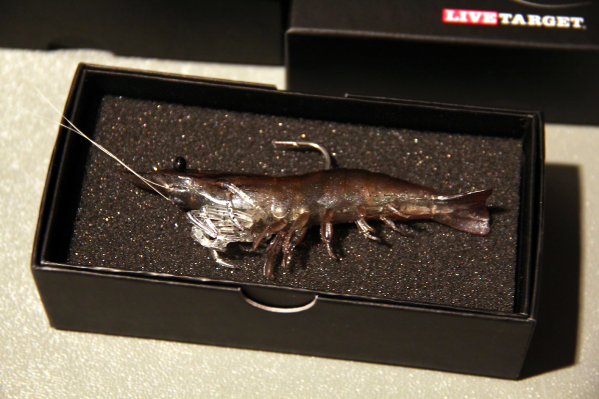 ICAST 2013: Live Target Saltwater Shrimp