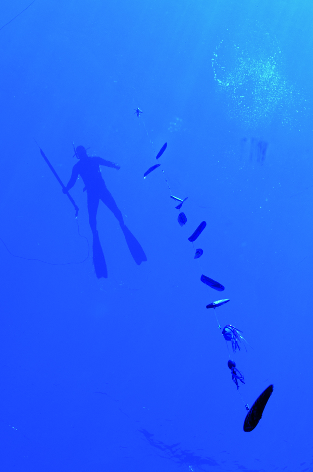 Dive Into Bluewater Spearfishing - Florida Sportsman