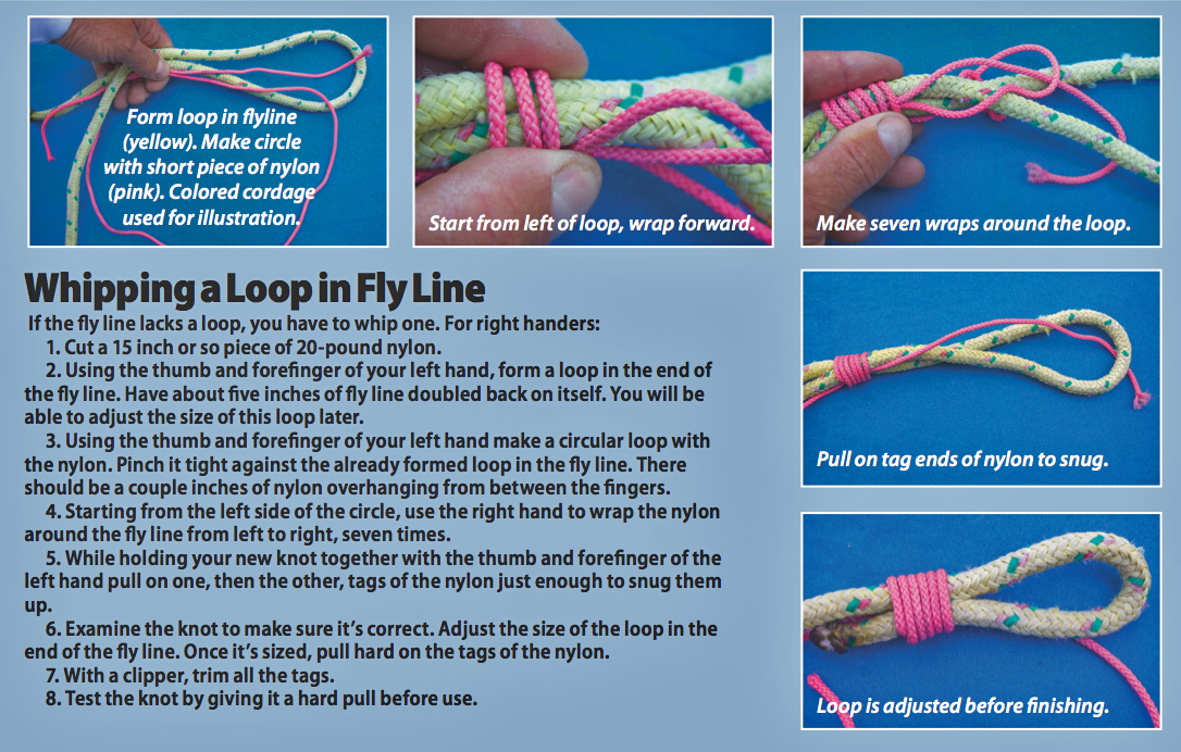 Fly Fishing Line Connections - Florida Sportsman