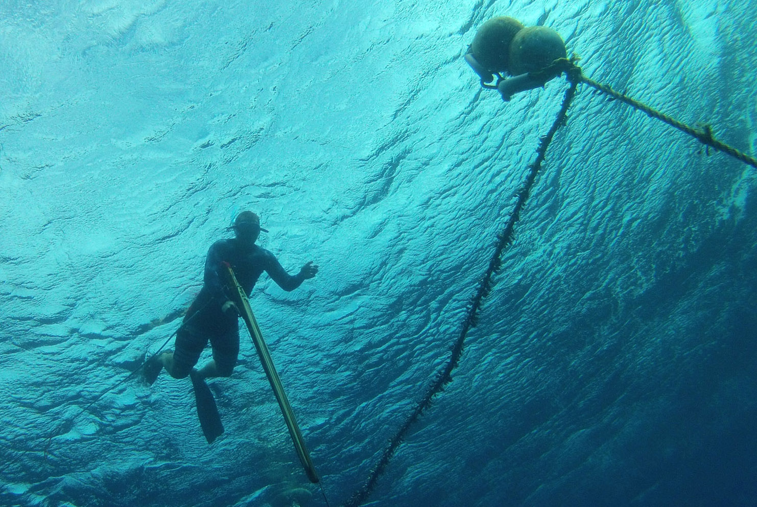 Interested in spearfishing? Check out these tips from a world