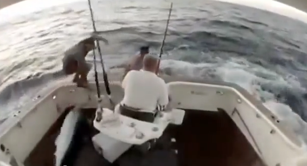 Marlin Jumps In, Man Jumps Out