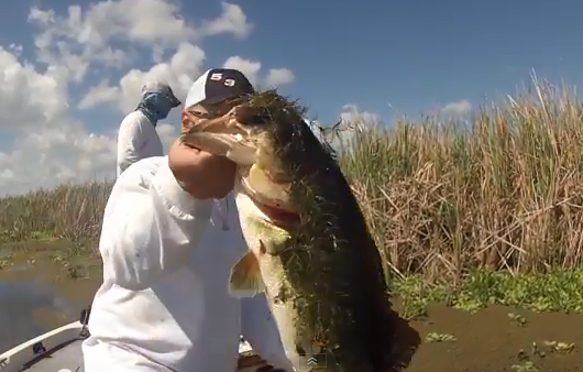 A Year In Review, Of Big Bass
