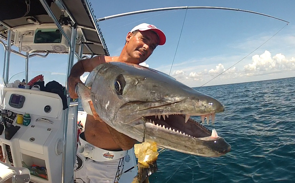 What's Great About Barracuda - Florida Sportsman