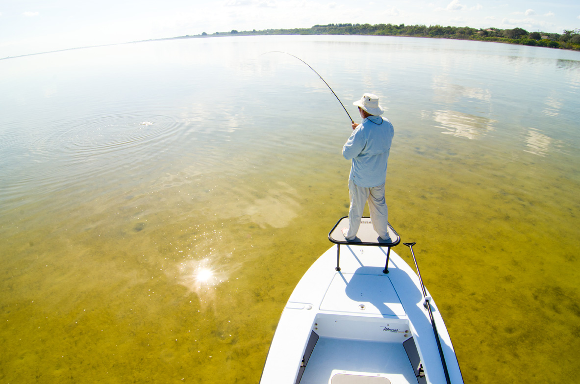 Indian River Fishing Guide - Vero Beach, FL