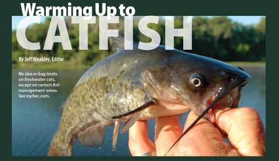 Florida Freshwater Catfishing - Florida Sportsman