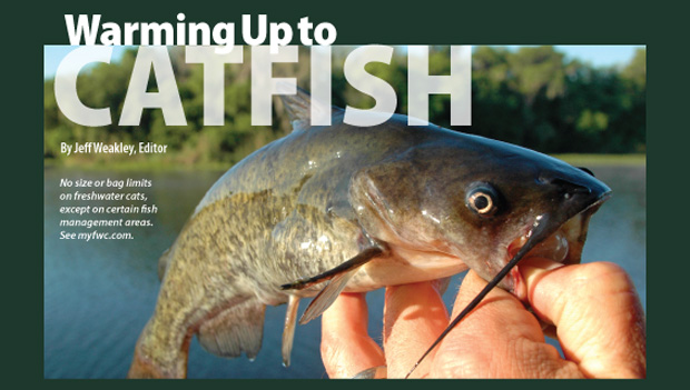 Catfish Fishing  OutDoors Unlimited Media and Magazine