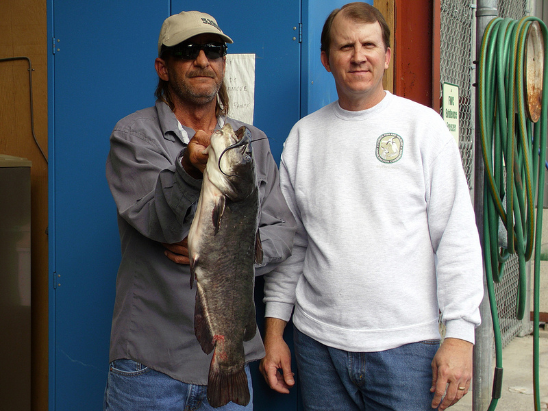 Dade City Angler Lands State Record Brown Bullhead Catfish - Florida  Sportsman