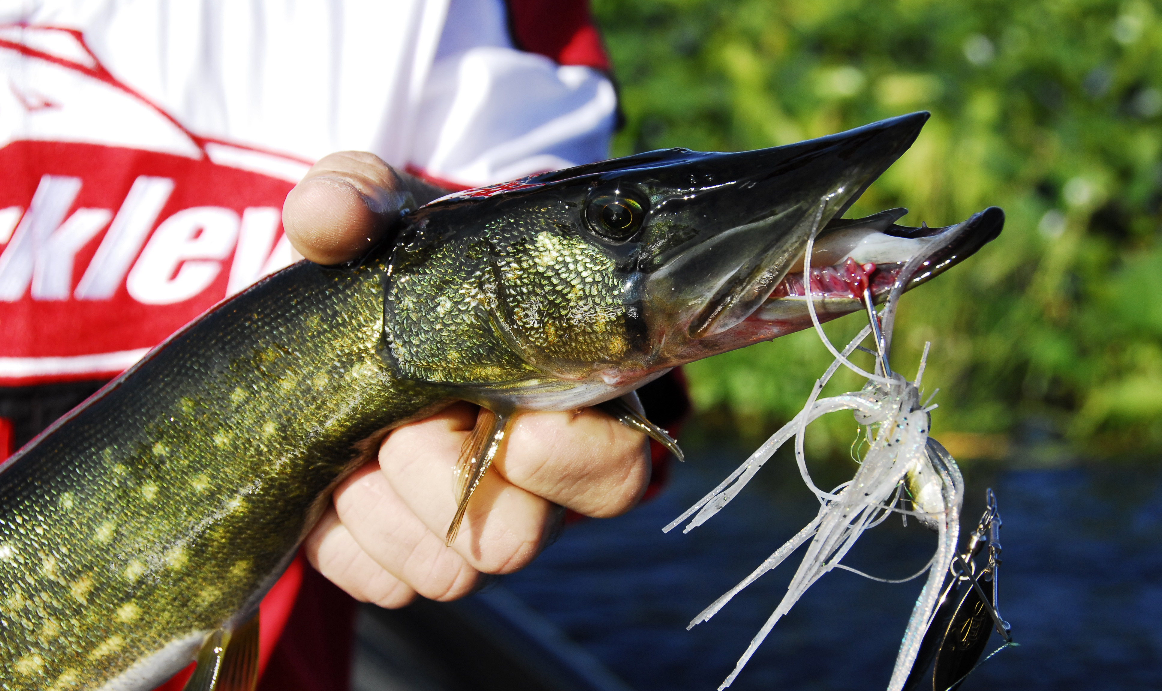 pickerel fishing lures