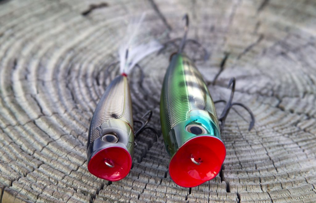 Poppers Outproduce ALL Other Topwater Lures Under THESE Conditions… 