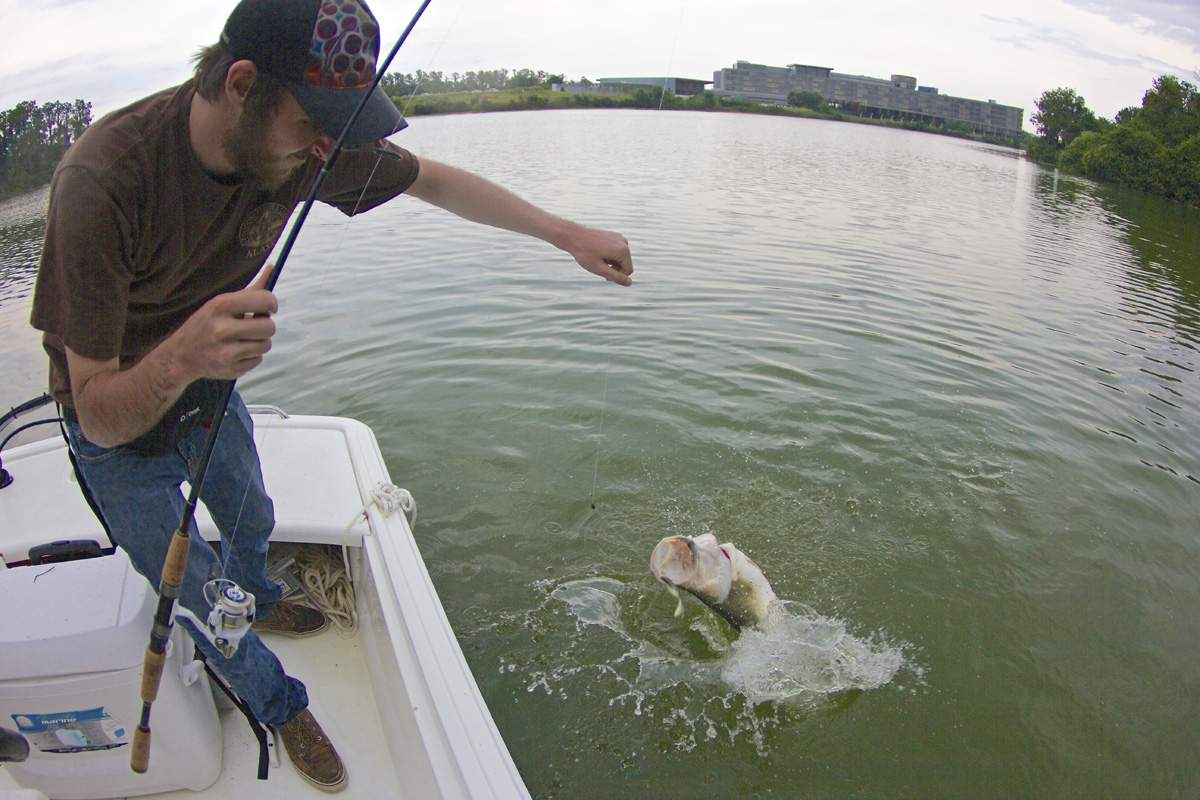 Phosphate Pit Bass Fishing - Florida Sportsman