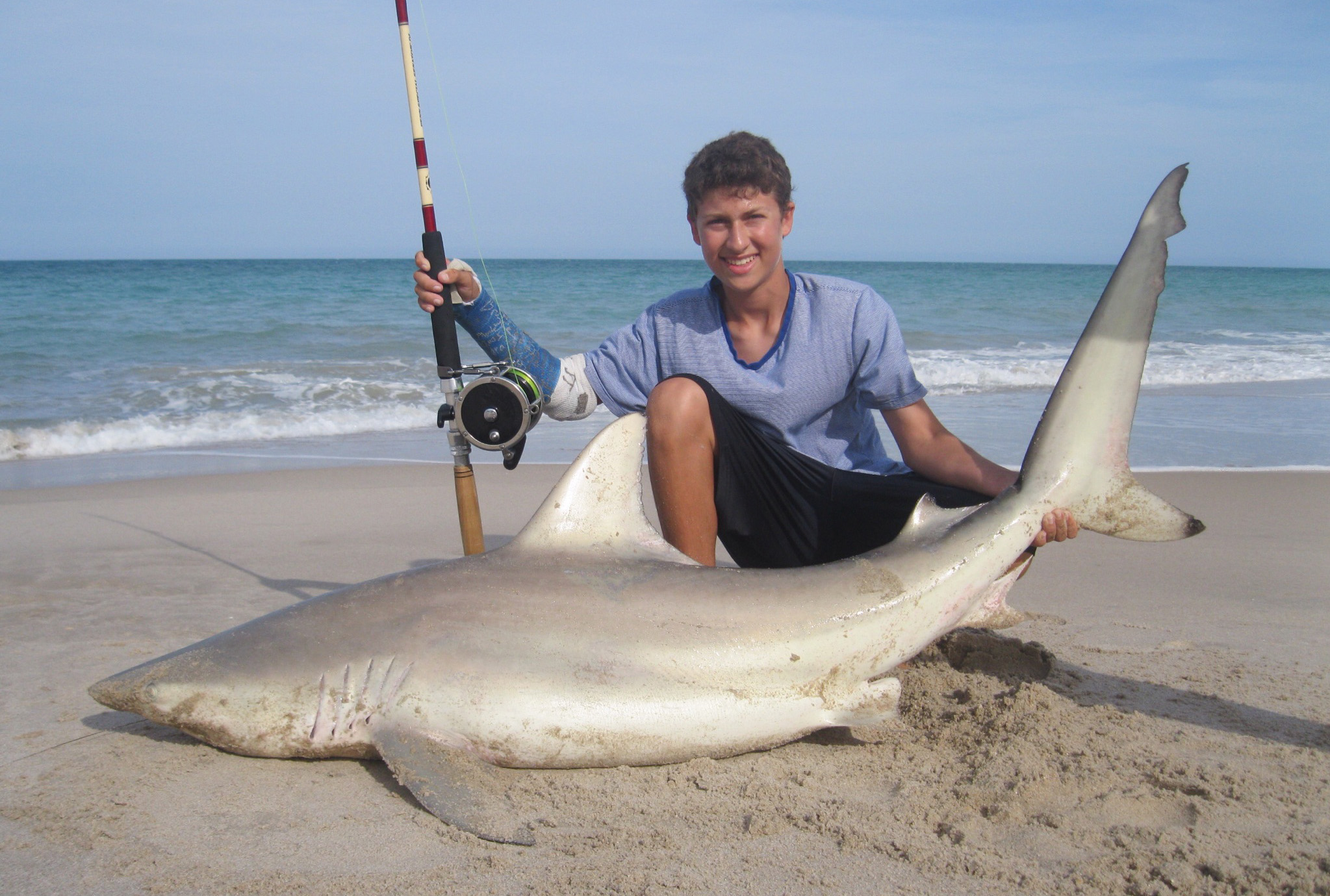 Shark Fishing - How to Find or Catch Bait