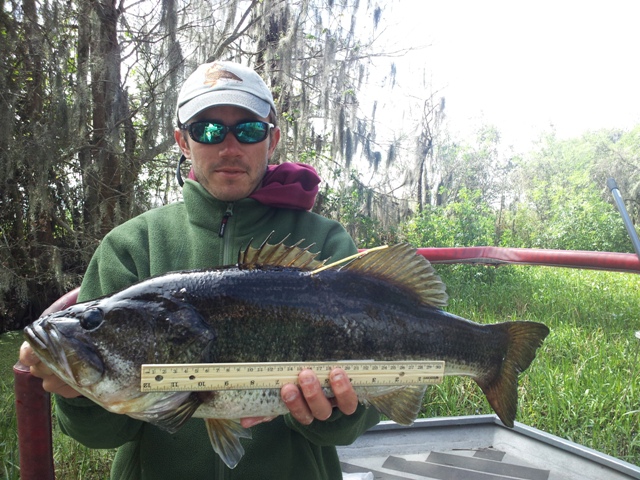 BMI (Bass Mass Index) for Freshwater Fish - Florida Sportsman