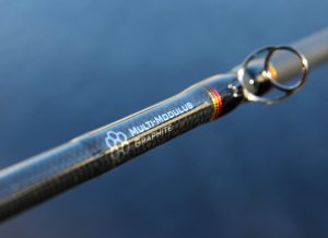 Berkley Lightning Baitcasting Fishing Rod 2 Rod Tips Saltwater Fishing Rod