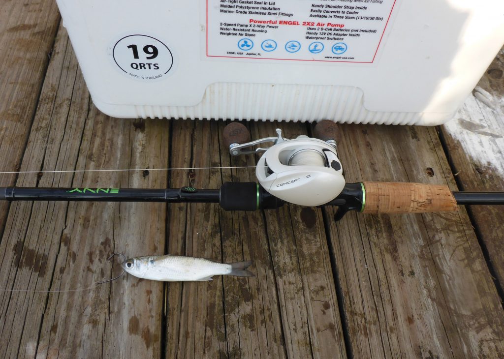 spinner fishing lures mullet berkley powerbait pre-rigged saltwater &  freshwater
