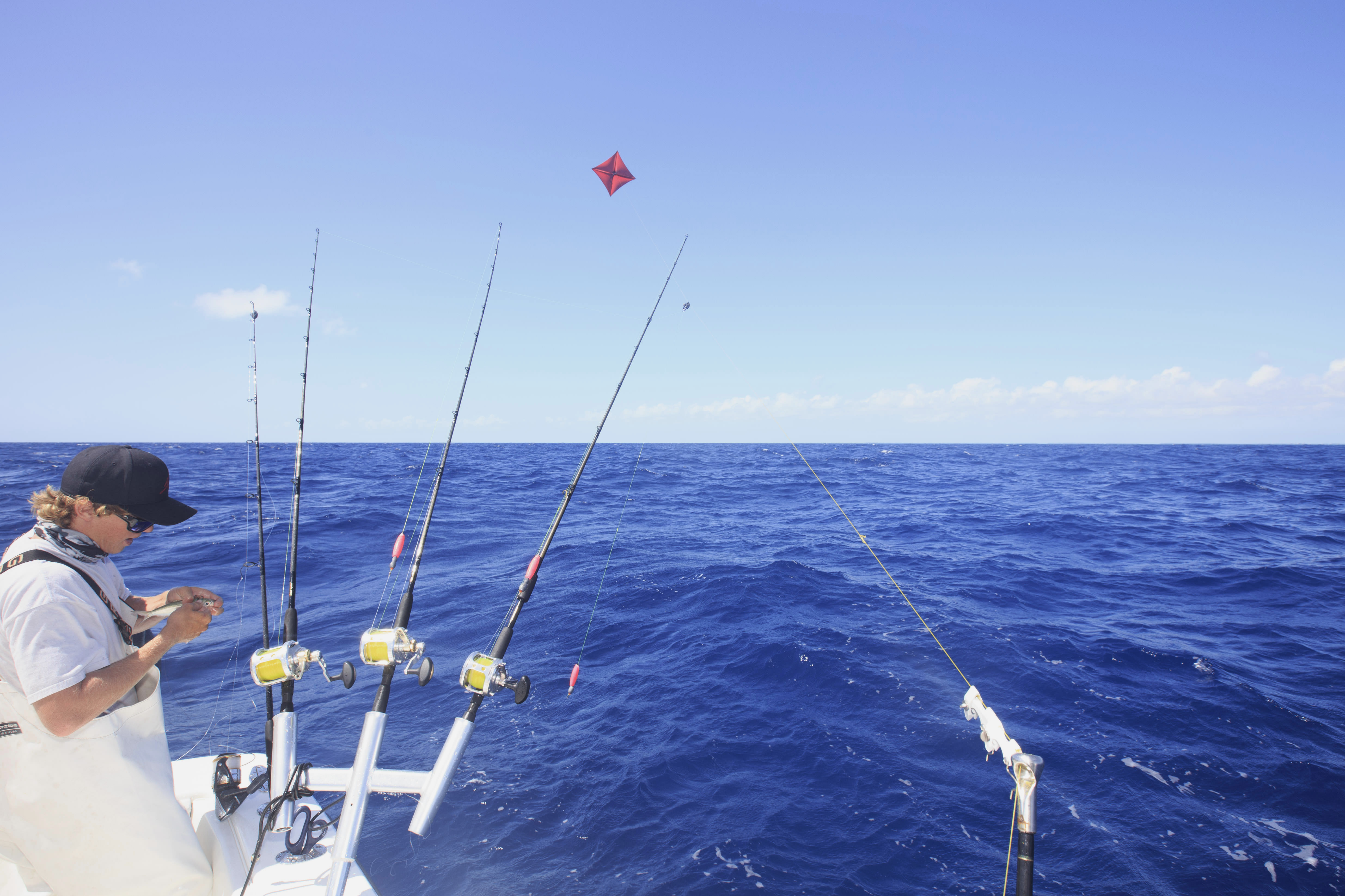 Lewis Fishing Kites