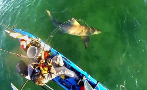 Key West Kayak Fishing