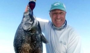 Clearwater Massive Tripletail