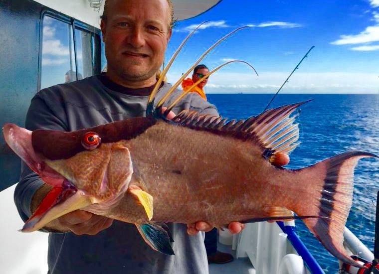 Hogfish Closes Nov. 1 in Keys/East Florida