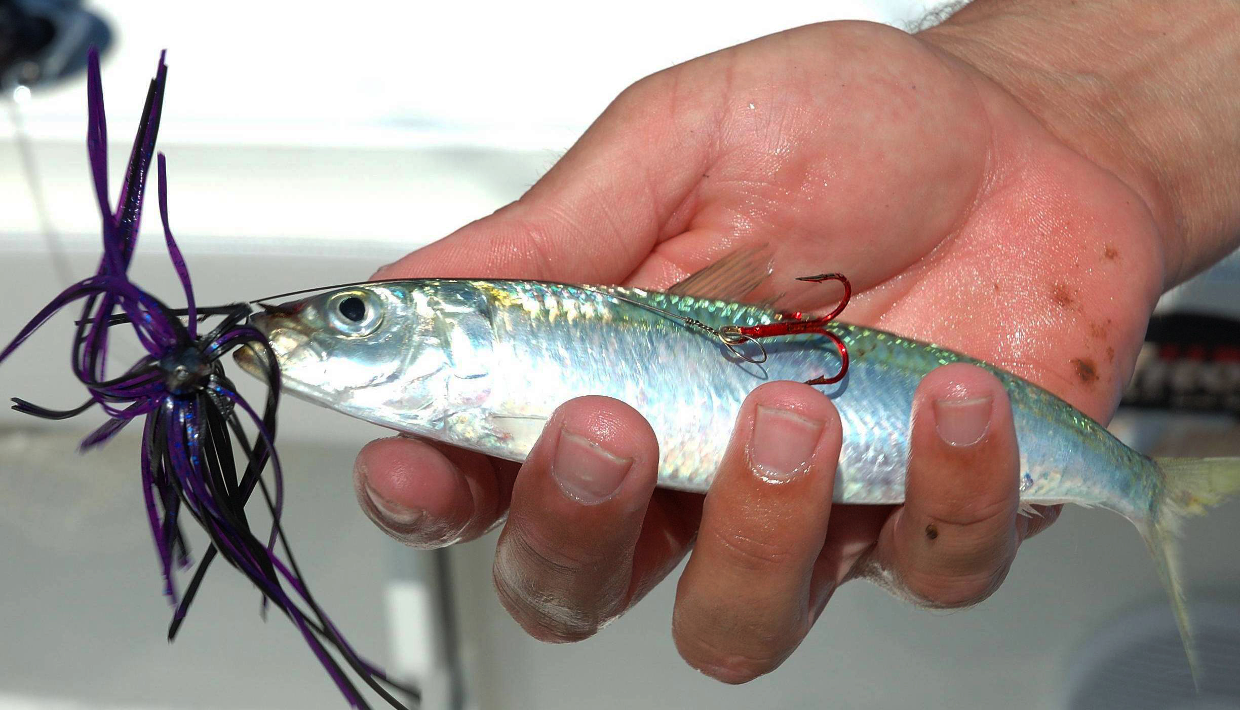 3 criteria to properly rig fishing lures with single hooks