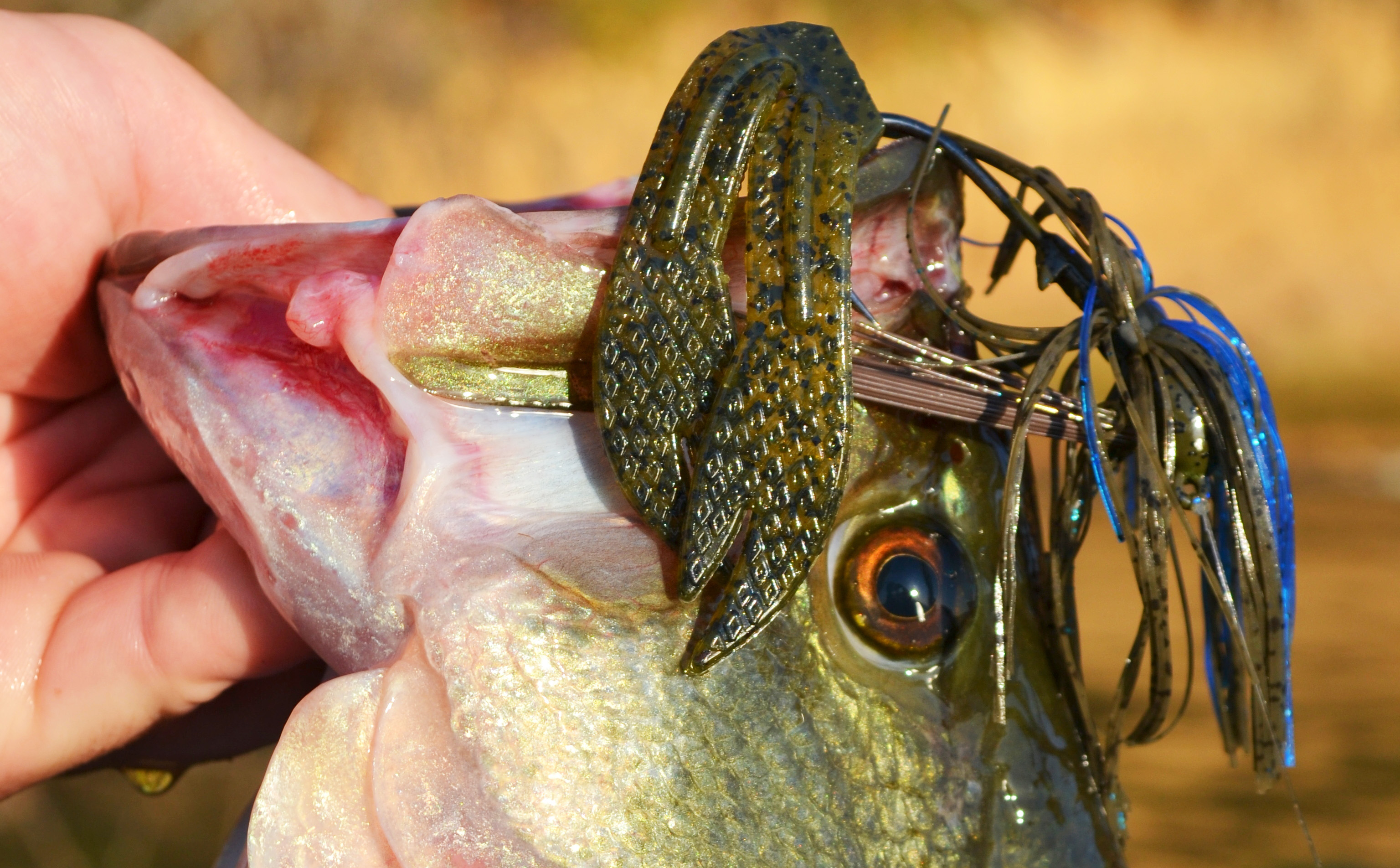 BIG GAME LURES & JIGS