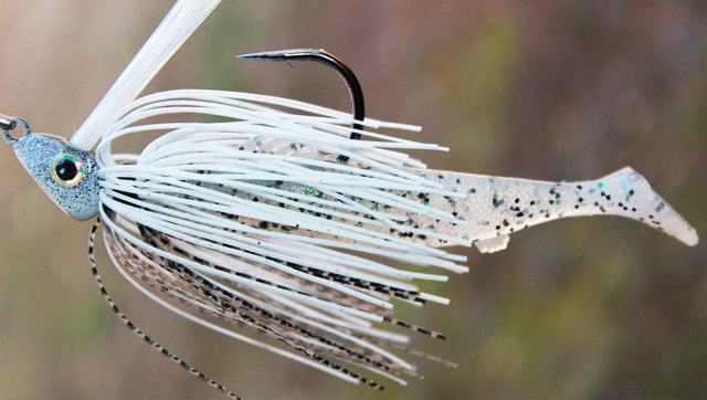 Intro to Bass Jigs: Types of Jigs & How to Use Them - Florida
