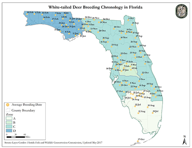 Rut Report Map 2020 White-Tailed Deer Peak Rut Map - Florida Sportsman