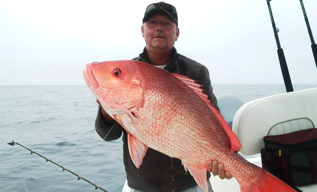 Фото Red Snapper