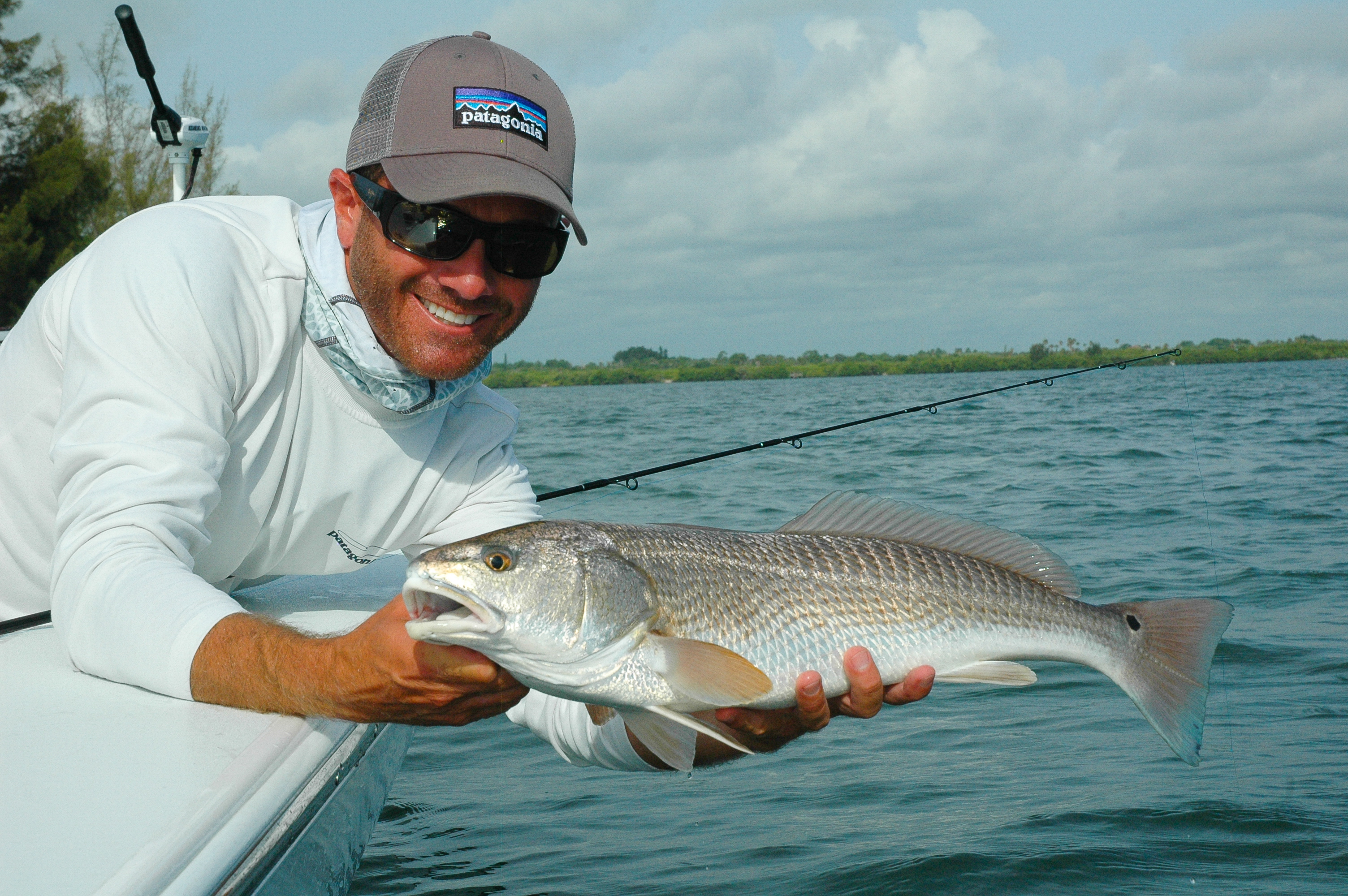Live Bait in Florida - Florida Go Fishing