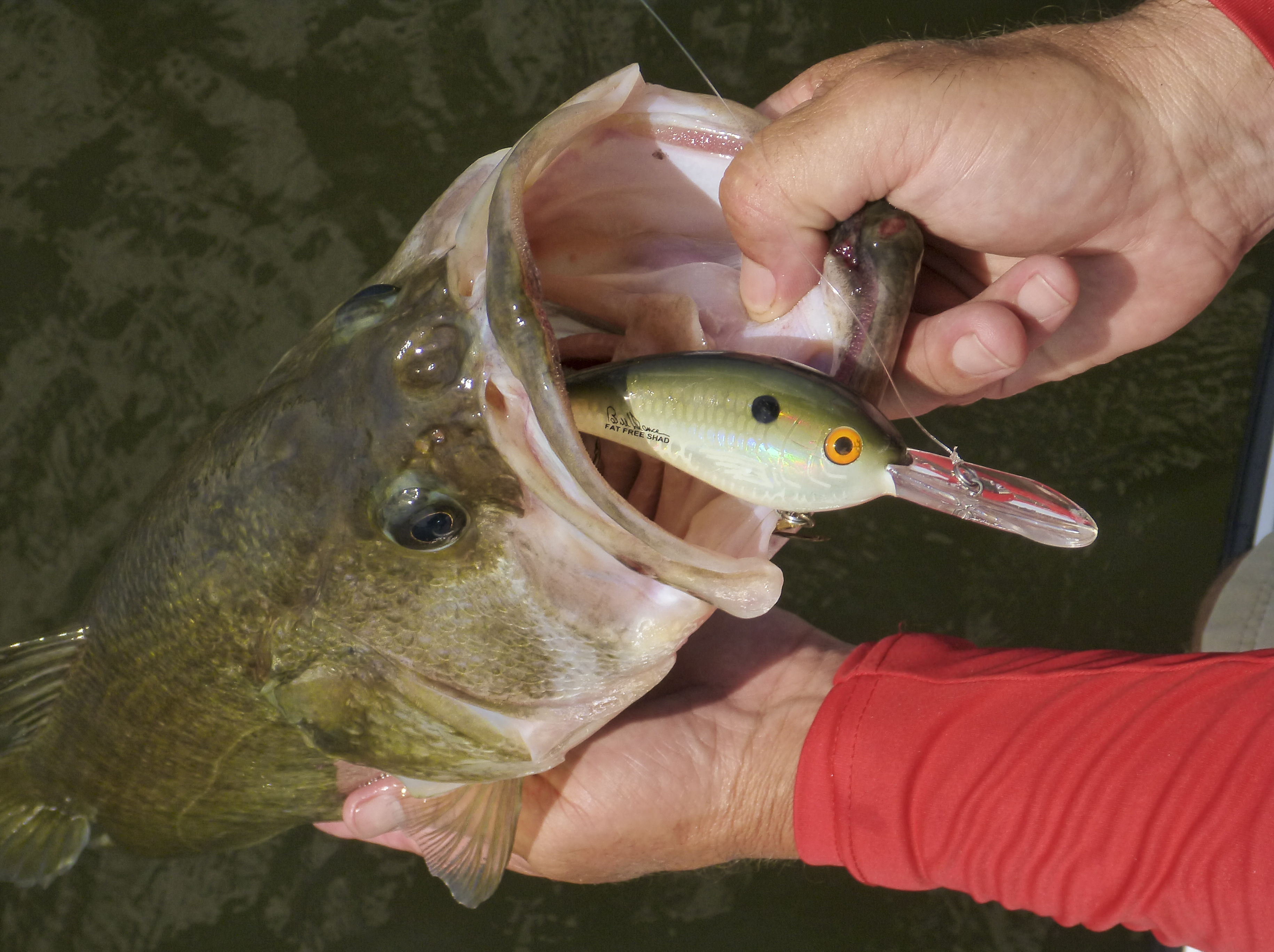 Watch Testing Different CrankBait Lip Shapes Video on