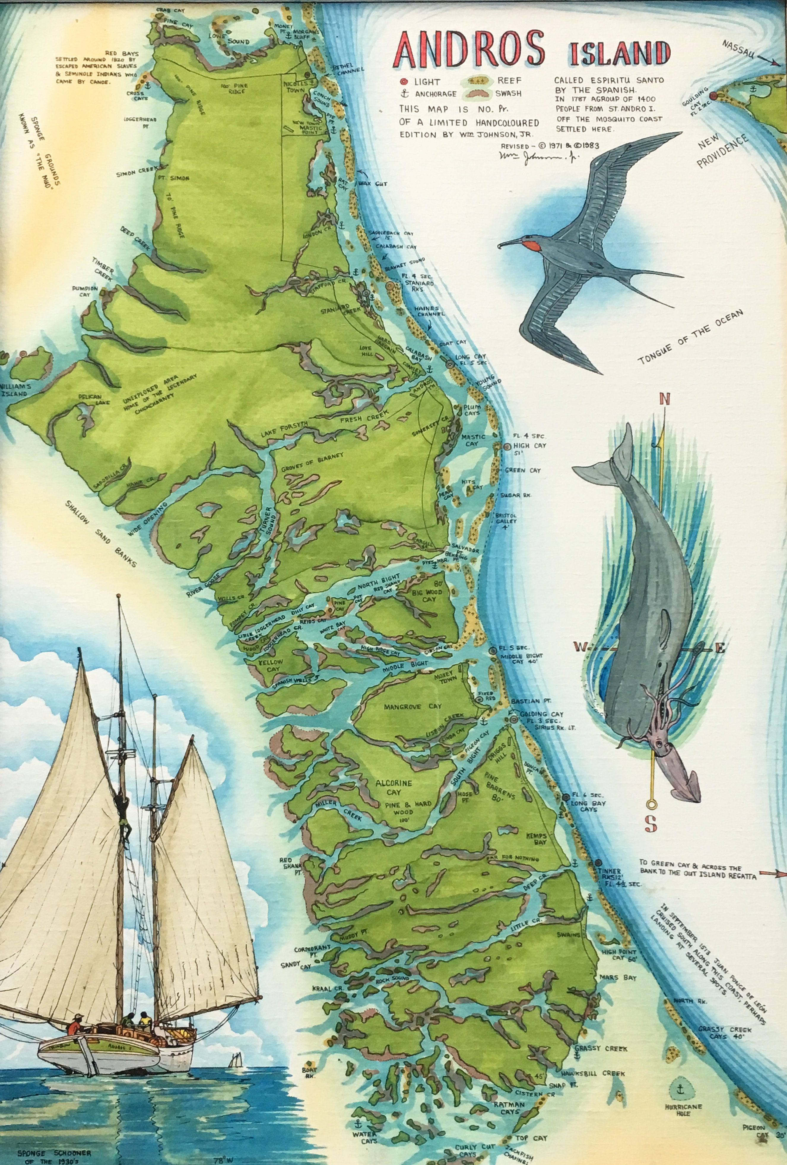 Andros Bahamas Bonefish Trip