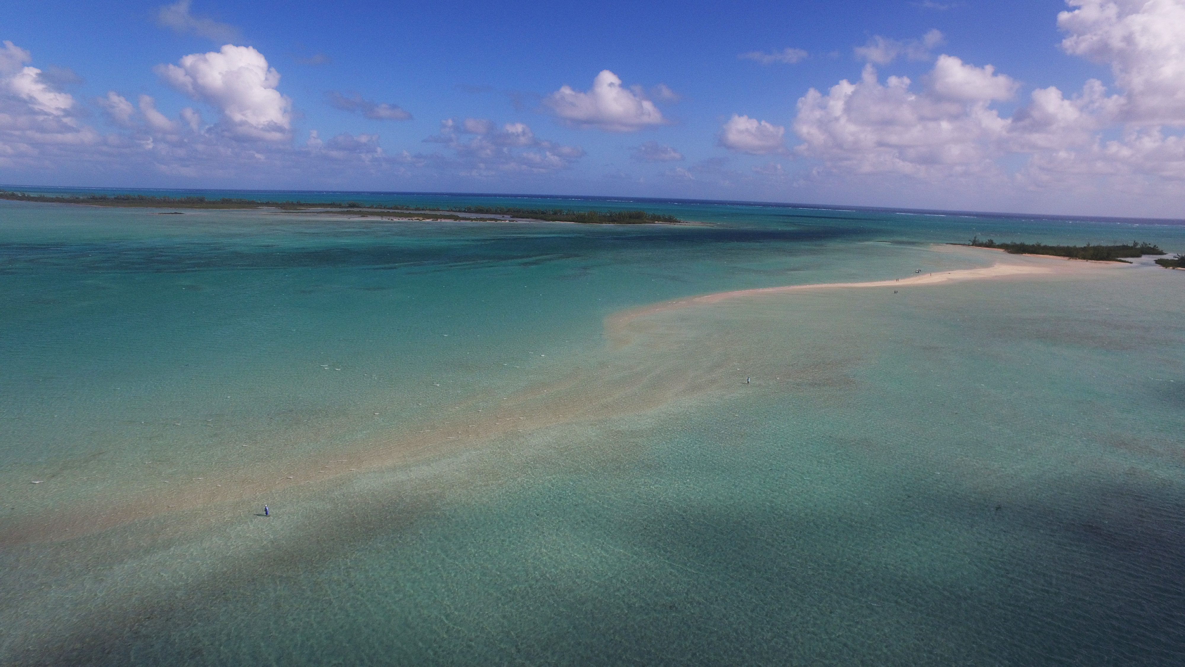 Andros Bahamas Bonefish Trip