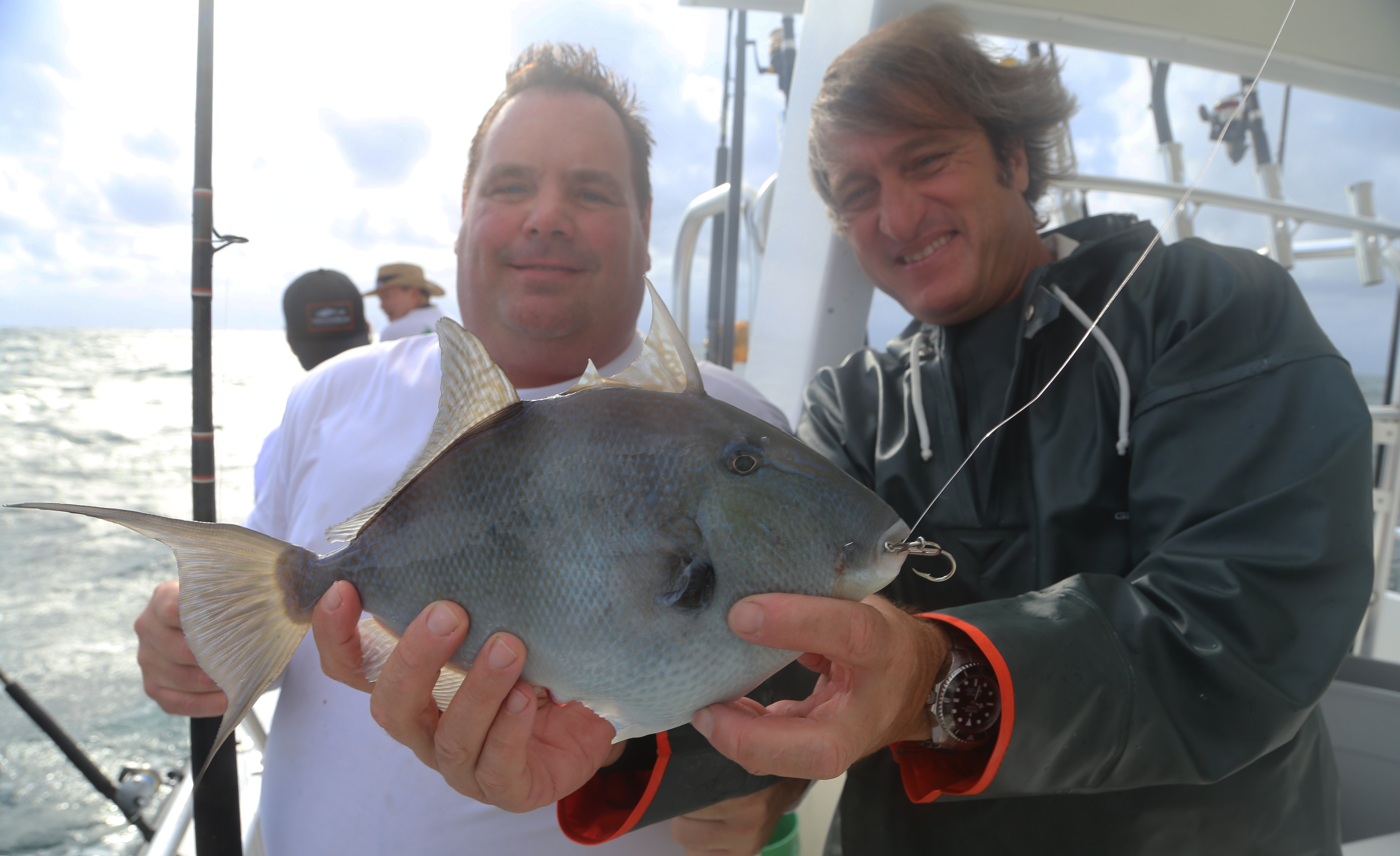 Gulf Gray Triggerfish Opens March 1 - Florida Sportsman