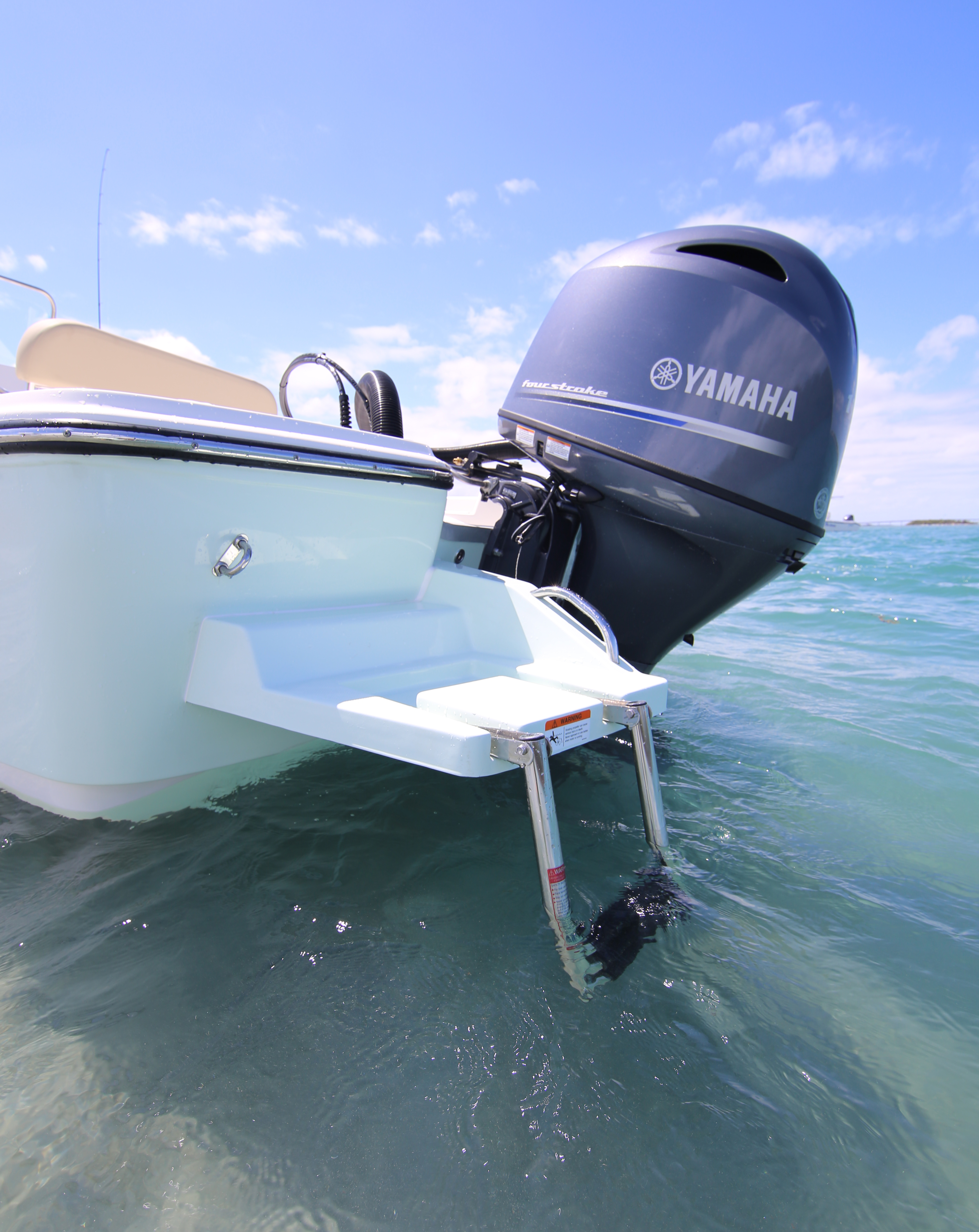 Boat Review - Sundance DX22 HPX