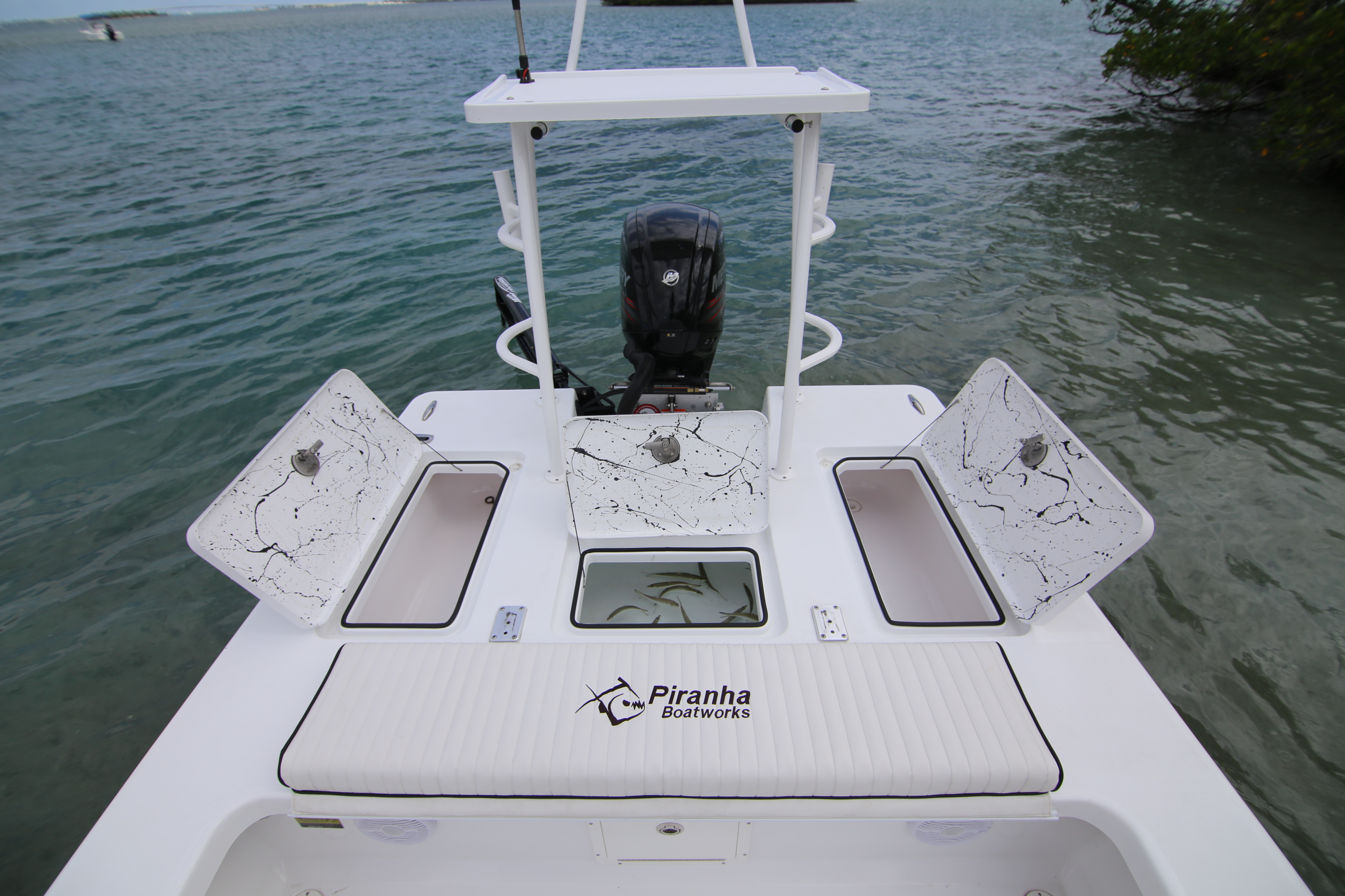 Boat Review - Piranha F2000