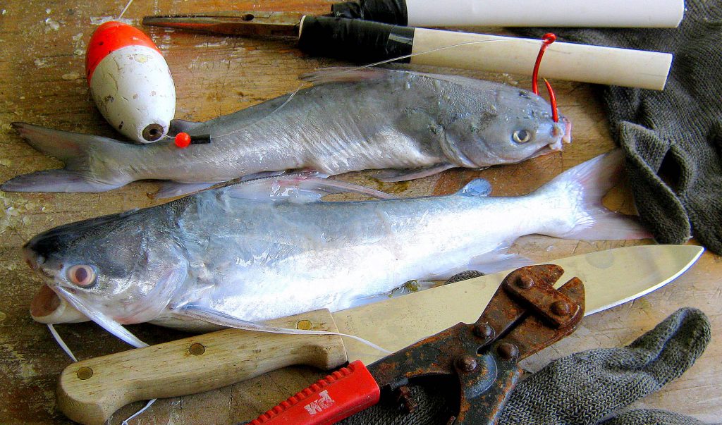 Sport Fishing Lures Catfish  Soft Fishing Lures Catfish