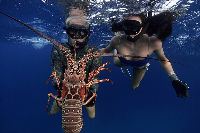 Spiny Lobster Season Opens Aug. 6