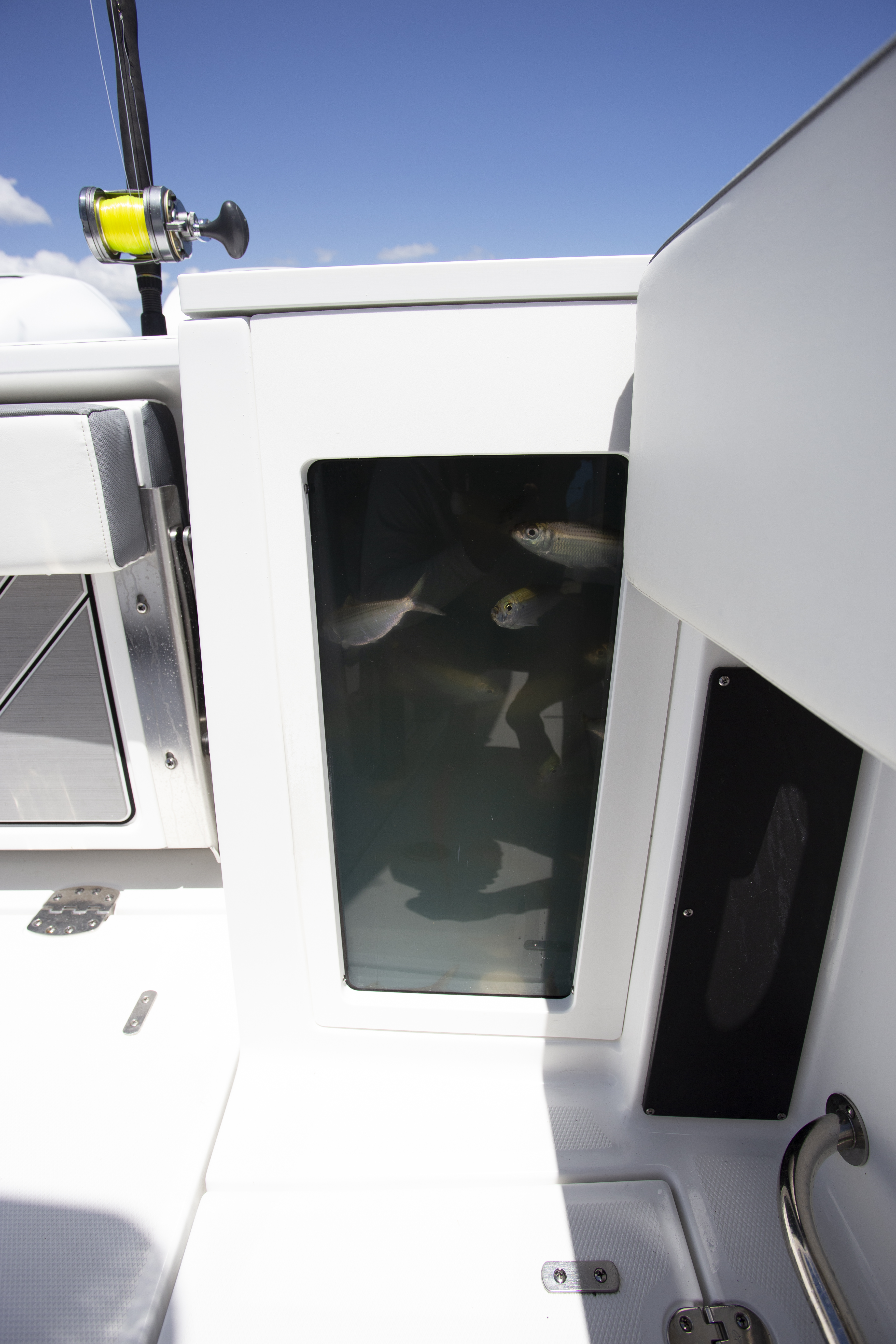 Boat Review - Blackfin 272CC