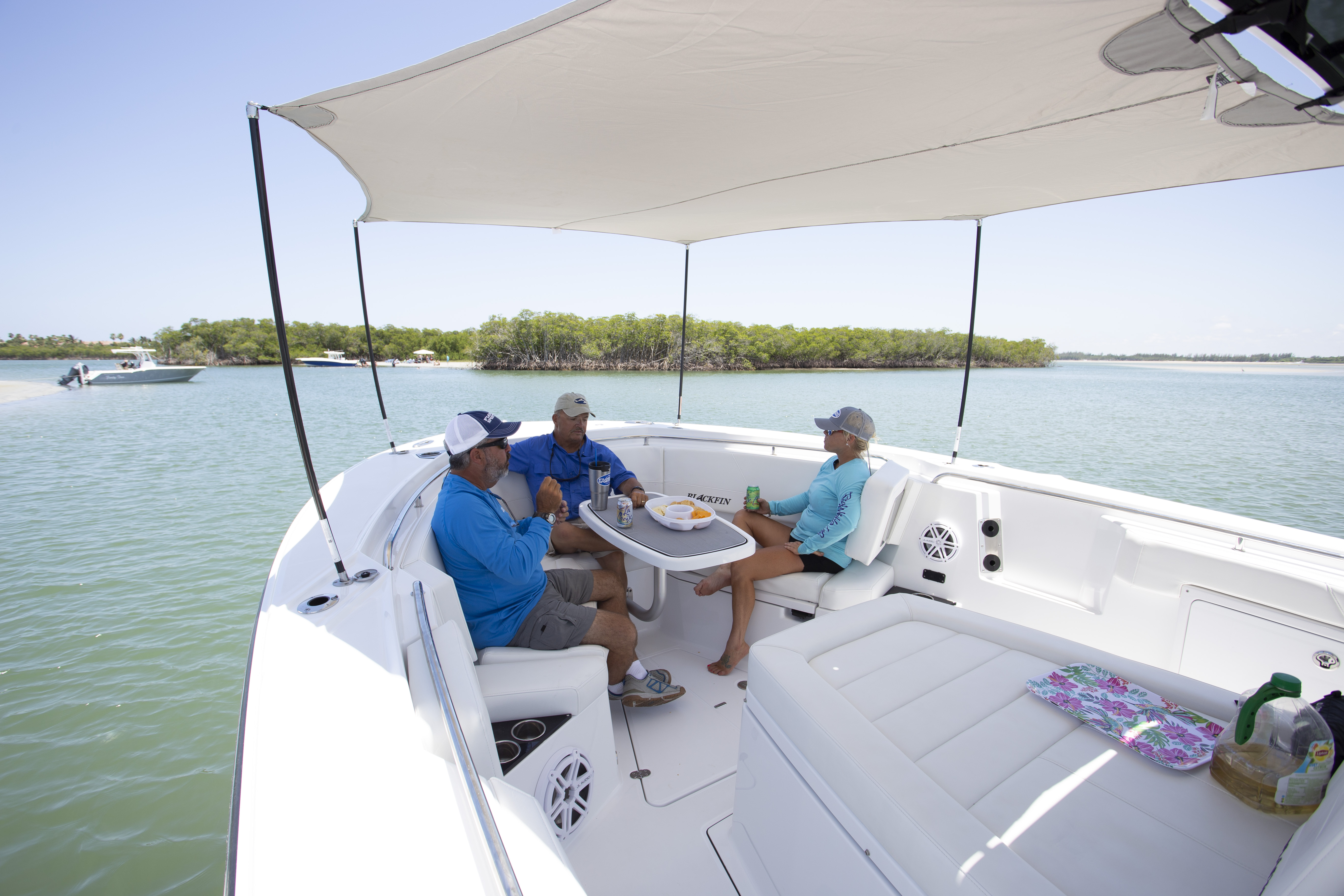 Boat Review - Blackfin 332CC