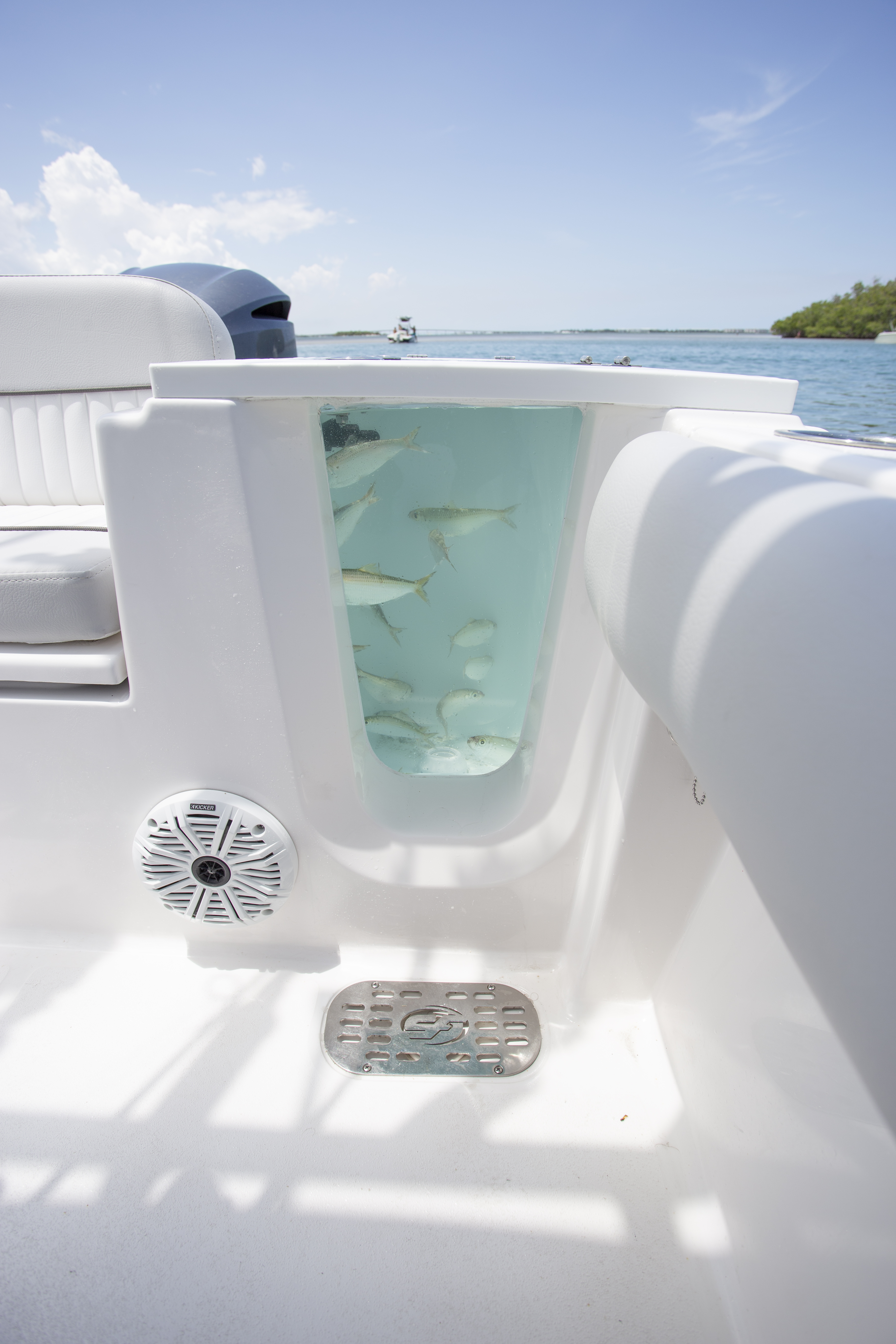 Boat Review - Sea Fox 228 Commander