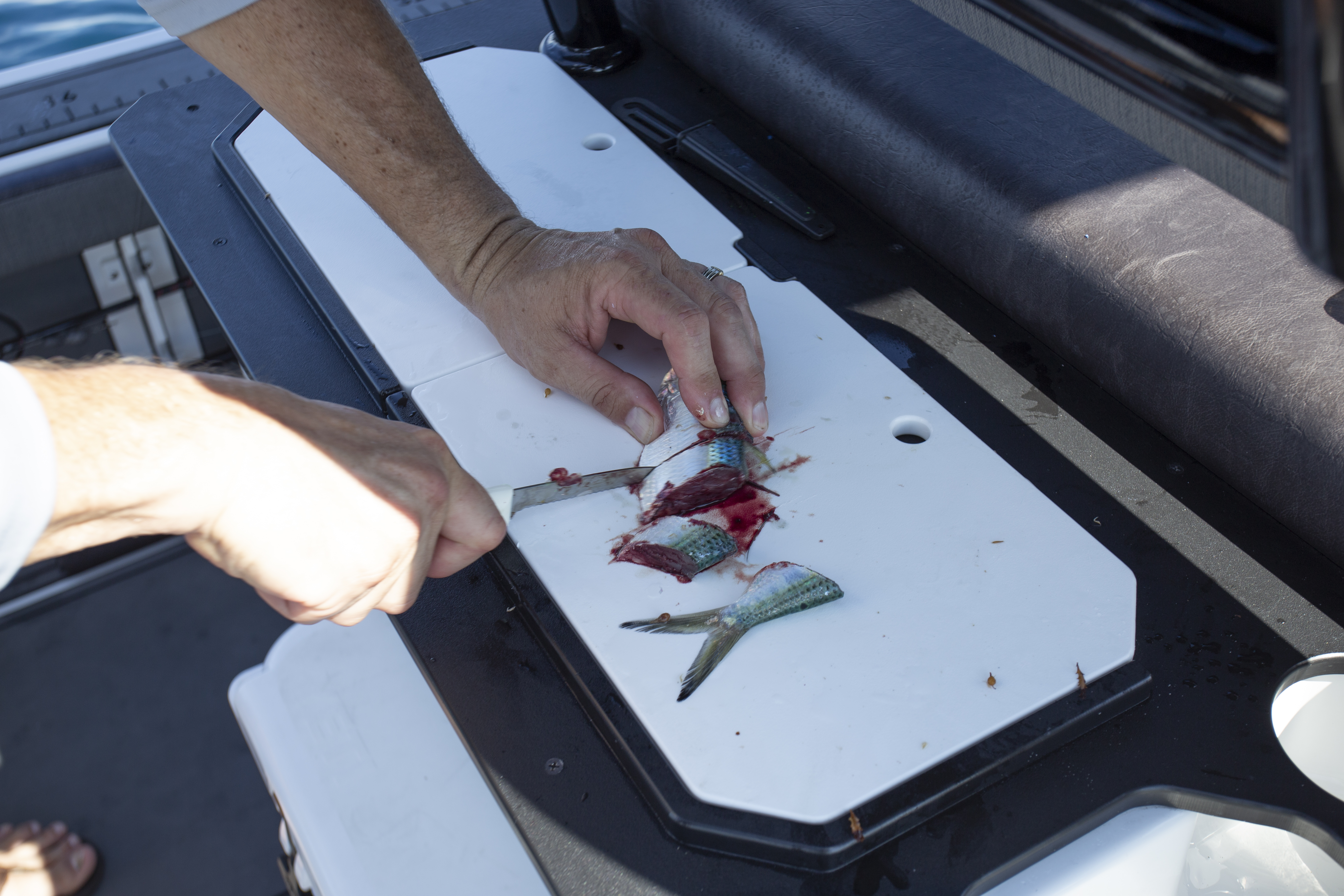 Boat Review - Crevalle 26 HBW